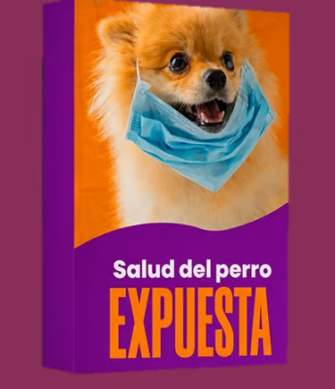 La salud del perro al descubierto
