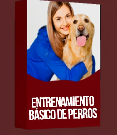 Entrenamiento básico de perros