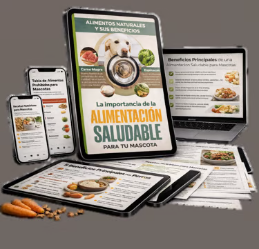 Importancia de una Alimentación Saludable